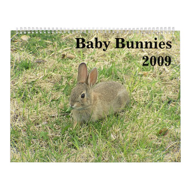 Baby Bunny Calendar 2009 (Cover)