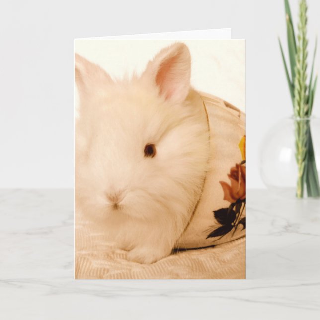 Baby Bunny Card (Front)