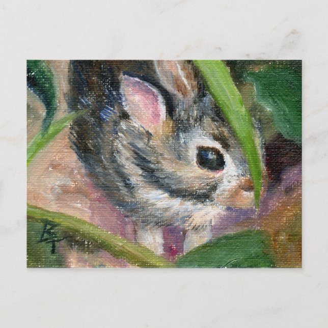 Baby Bunny Hiding Postcard (Front)