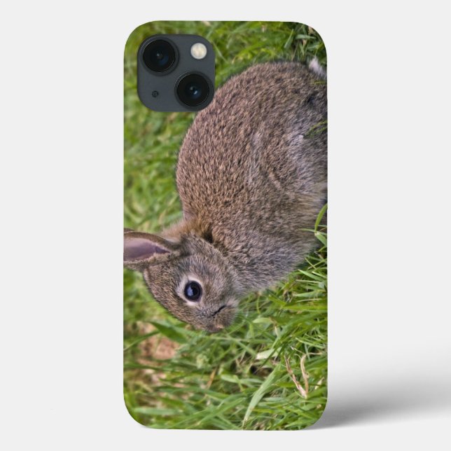 Baby Bunny iPad Mini Case (Back)