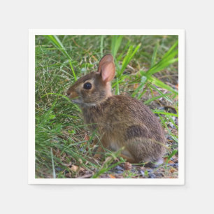 Baby Bunny Paper Napkin