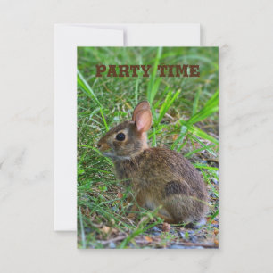 Baby Bunny Party Invitation