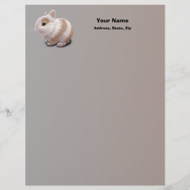 Baby Bunny Personalized Letterhead (Front)