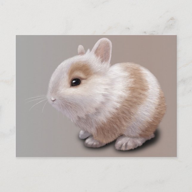 Baby Bunny Postcard (Front)