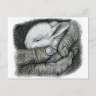 BABY BUNNY POSTCARD