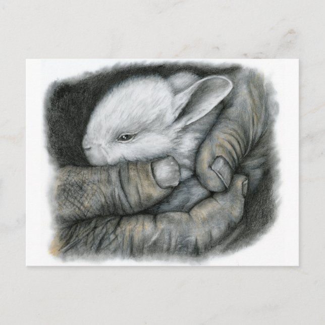 BABY BUNNY POSTCARD (Front)