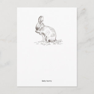 Baby Bunny Postcard