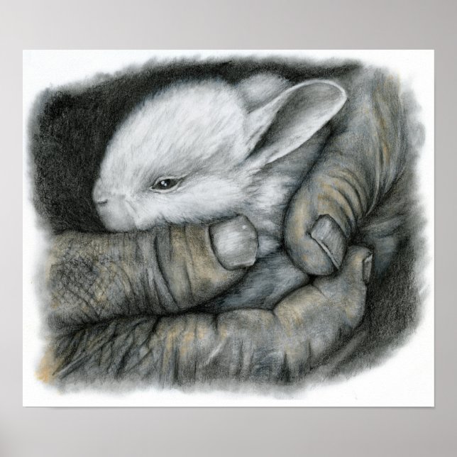 BABY BUNNY POSTER (Front)