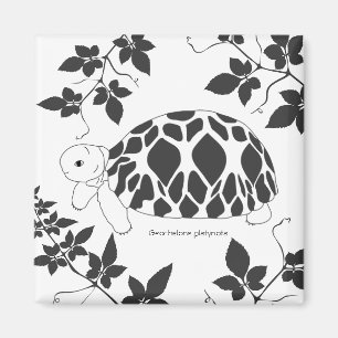 Baby Burmese Star Tortoise Magnet (leaves bw)