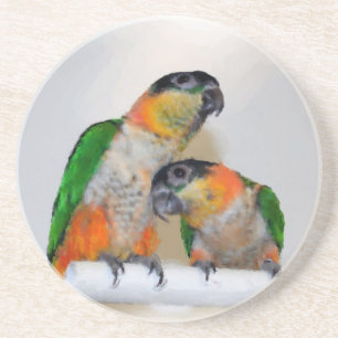 Baby Caique Parrots Animal Coaster
