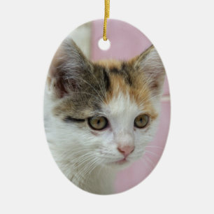 Baby Calico Ceramic Tree Decoration