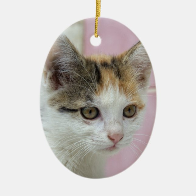 Baby Calico Ceramic Tree Decoration (Front)
