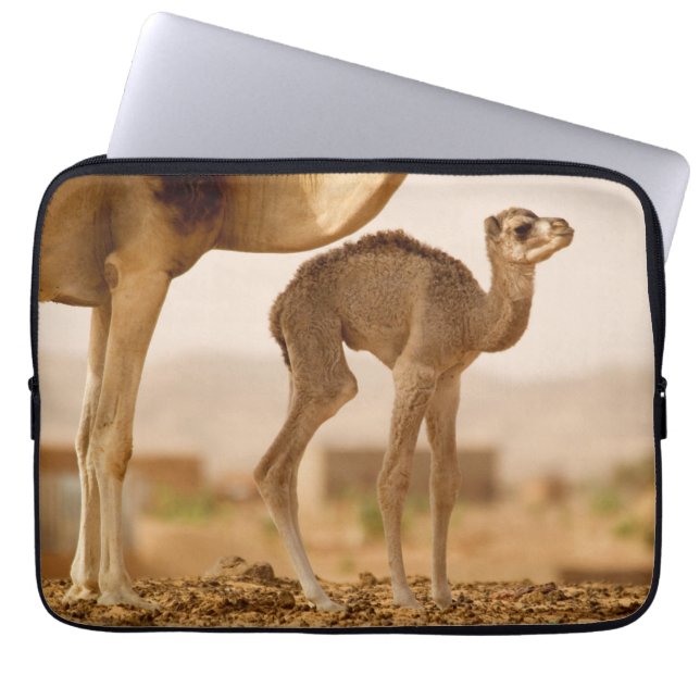 Baby Camel Laptop Sleeve (Front)