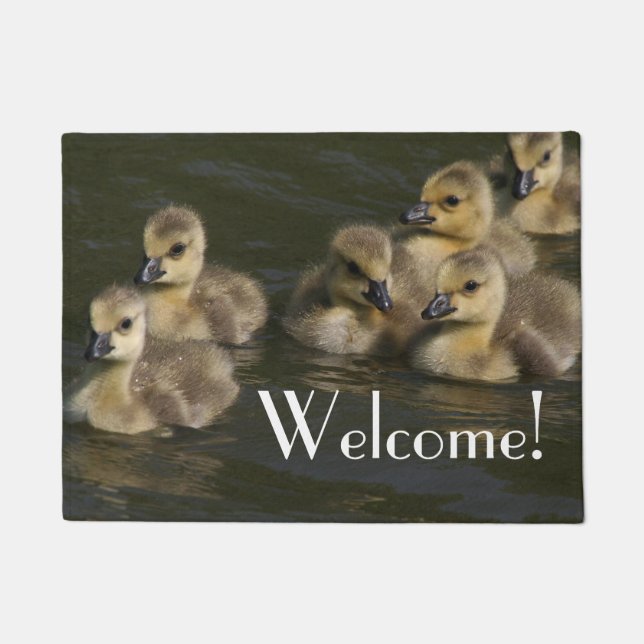 Baby Canada Geese Gosling Wildlife Welcome Doormat (Front)