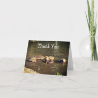 Baby Canada Geese Nature Thank You Card