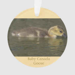 Baby Canada Goose Ornament 