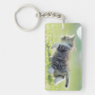 Baby cat running on grass field. key ring
