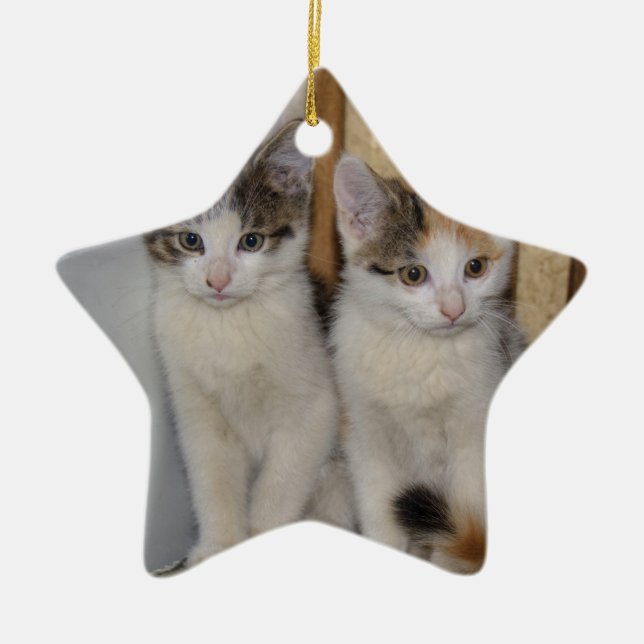Baby Cats Ceramic Tree Decoration (Front)
