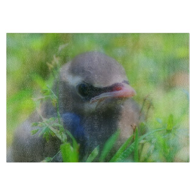 Baby Cedar Waxwing Fledgling Bird Animal Cutting Board (Front)