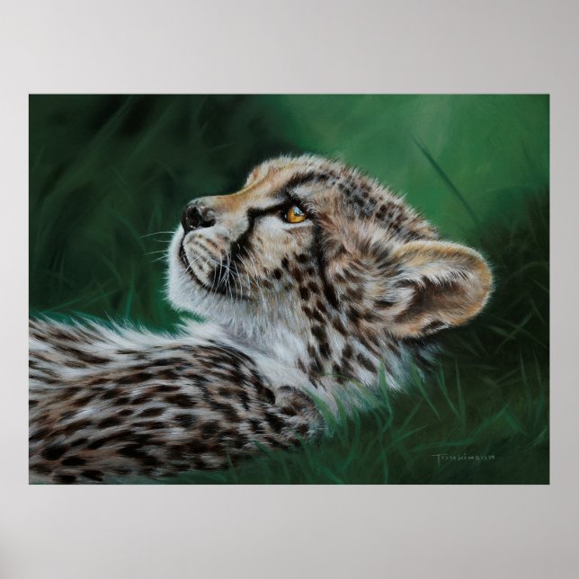 BABY CHEETAH FINE ART PRINT (Front)