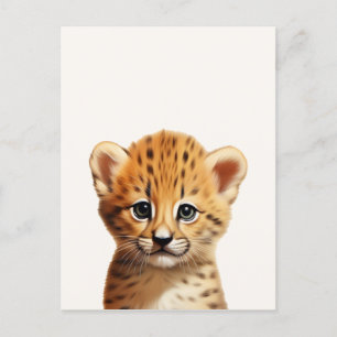 Baby Cheetah Portrait Postcard