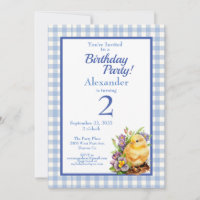 Baby Chick Boys Blue Birthday Party