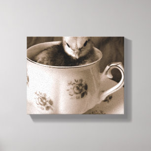Baby Chick in a Teacup Canvas Print