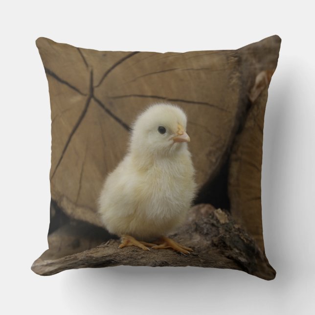 Baby Chick On Logs Cushion (Front)