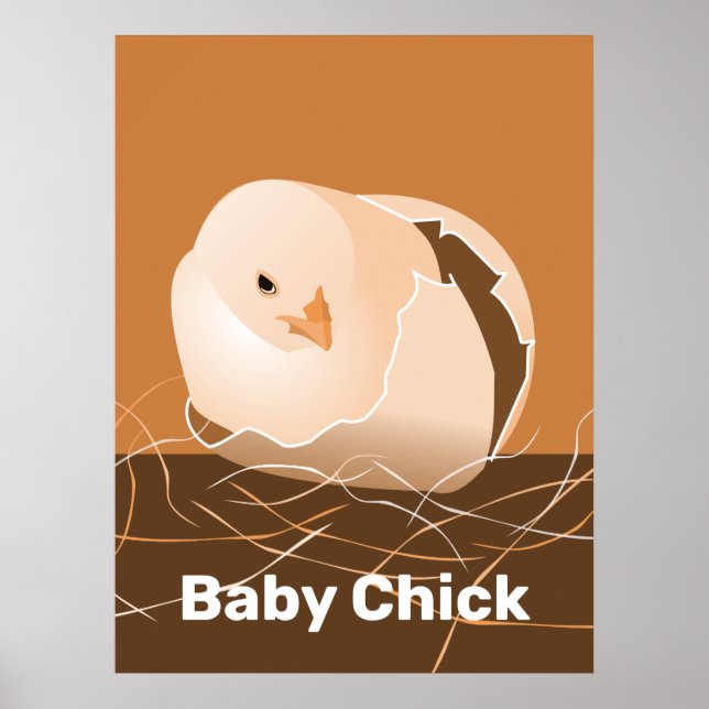 Baby Chick Orange Kitchen Wall Art (Front)