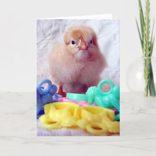 Baby Chick, Perfect For Baby Shower Greeting Card