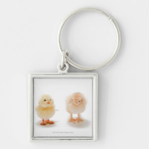 Baby chicken and fake mechanical chicken key ring