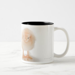 Baby chicken and fake mechanical chicken Two-Tone coffee mug