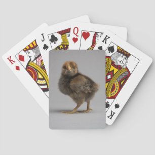 Baby Chicken Playing Cards