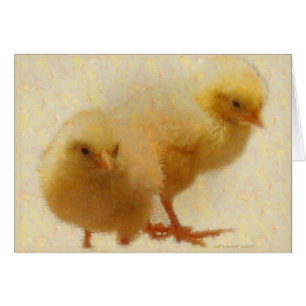 Baby Chicks