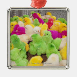 Baby Chicks In A Pen At A Market Coloured By Dye Metal Tree Decoration