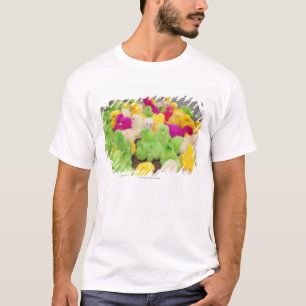 Baby Chicks In A Pen At A Market Coloured By Dye T-Shirt