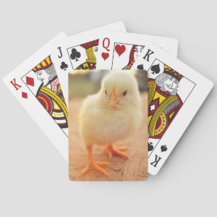 Baby Chicks Playing Cards