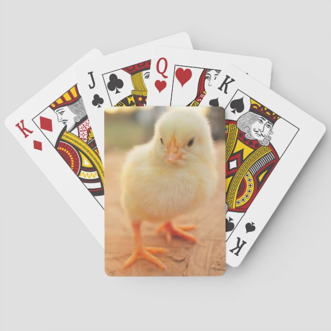 Baby Chicks Playing Cards (Back)
