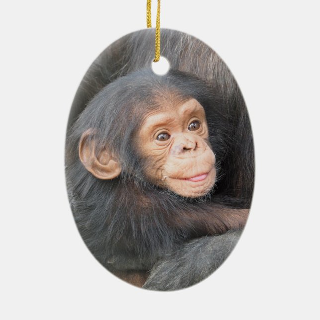 Baby Chimpanzee Ceramic Tree Decoration (Back)