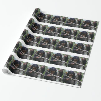Baby Chimpanzee Wrapping Paper