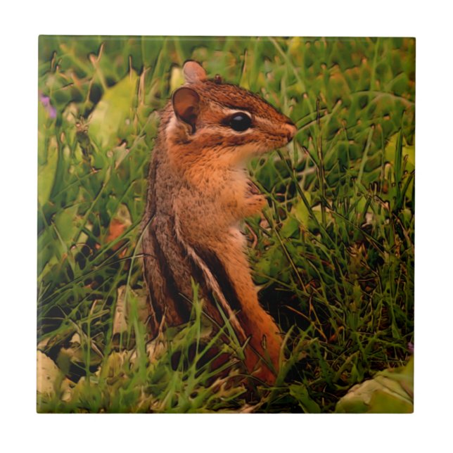 Baby Chipmunk Animal Art Tile (Front)
