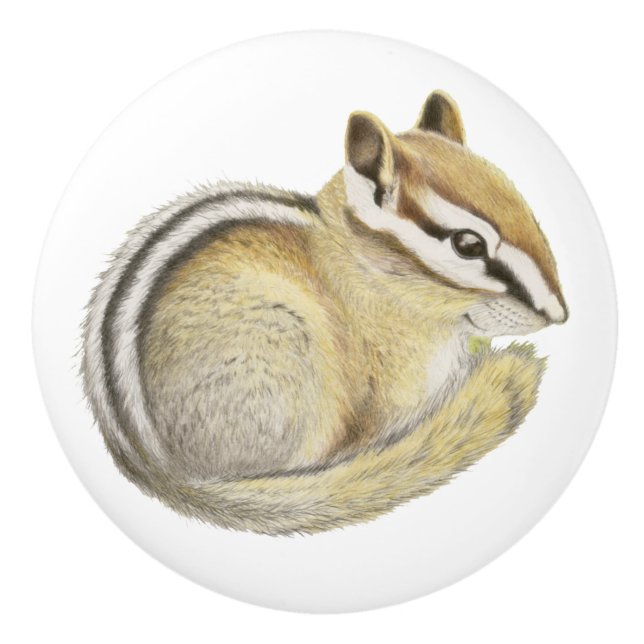 Baby Chipmunk Ceramic Knob (Front)
