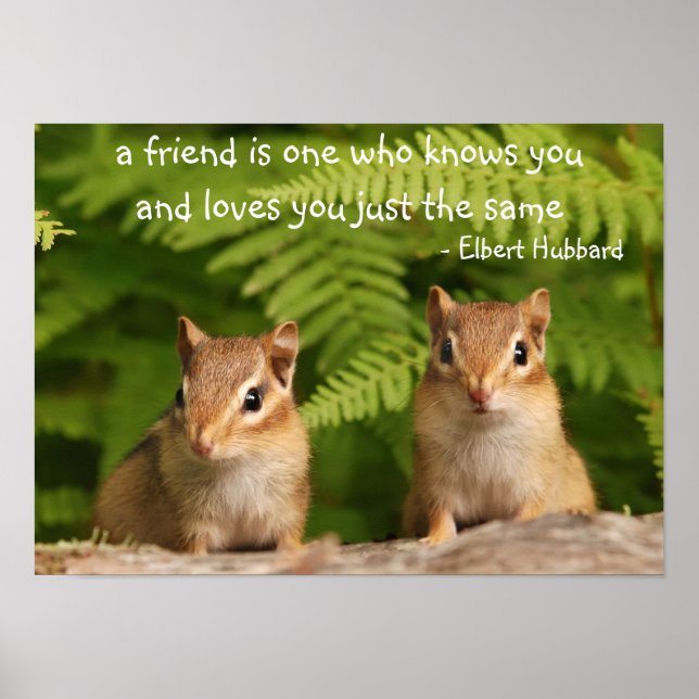 Baby Chipmunk Friends Quote Poster (Front)