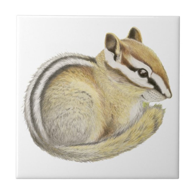 Baby Chipmunk Tile (Front)