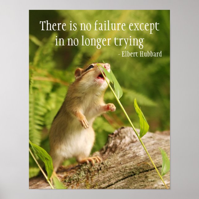 Baby Chipmunk Try Quote Poster (Front)