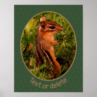 Baby Chipmunk Wildlife Animal Art Personalized