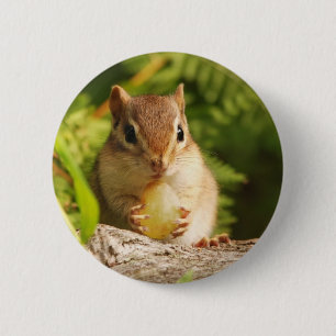 Baby Chipmunk with snack 6 Cm Round Badge