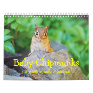 Baby Chipmunks 2014/2015 (16 month calendar) Calendar
