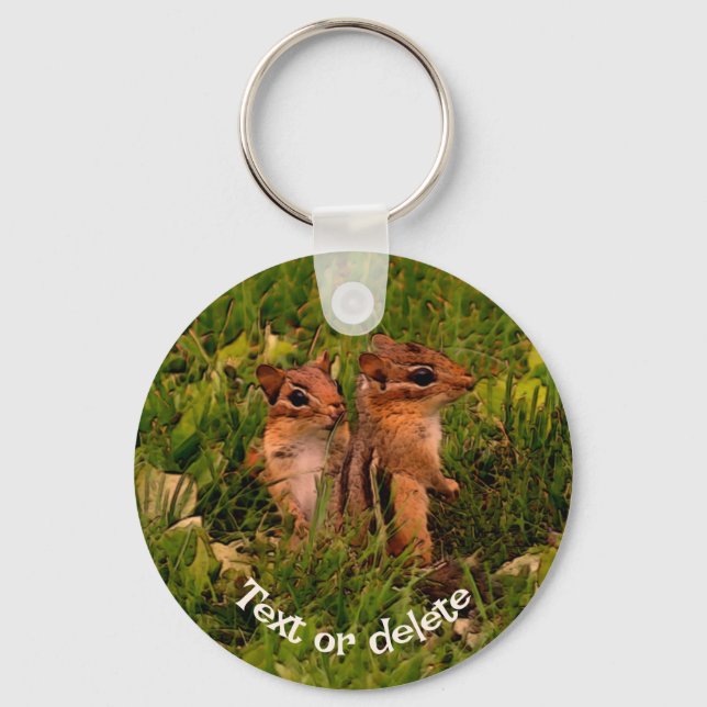 Baby Chipmunks Animal Art Personalised Key Ring (Front)