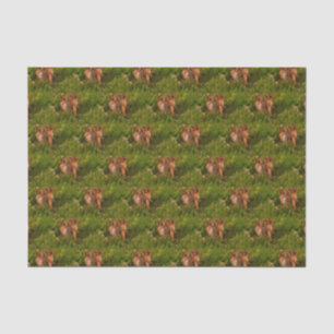 Baby Chipmunks Animal Nature Art Tissue Paper